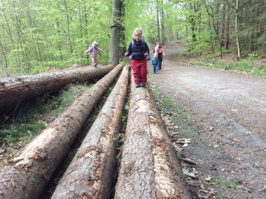 Barn der balancerer på træstamme i skoven